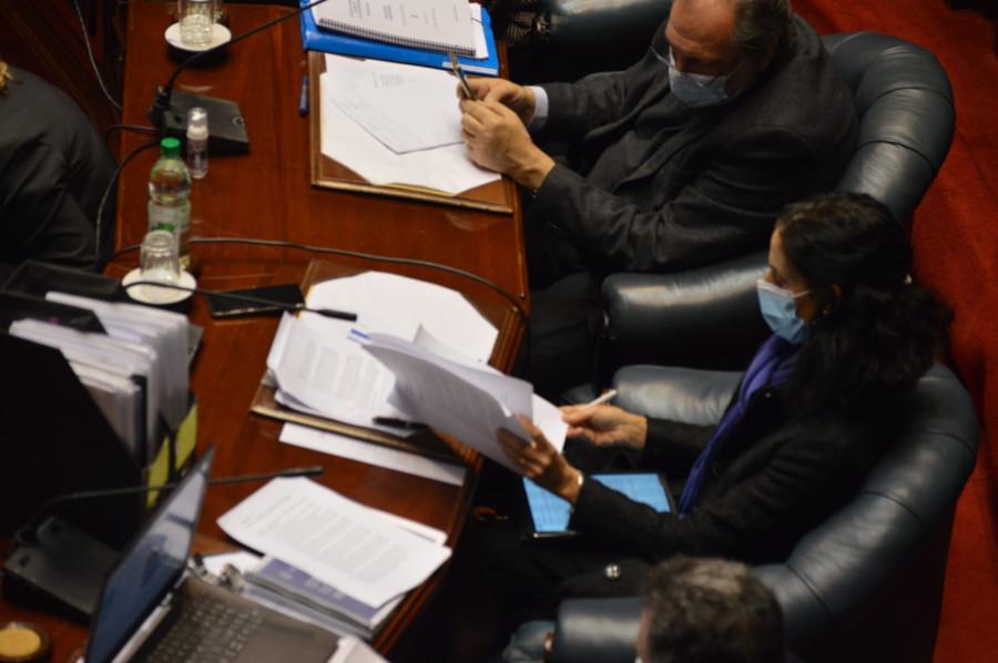 Ministra Arbeleche y ministro Salinas en el Parlamento Interpelación por pandemia