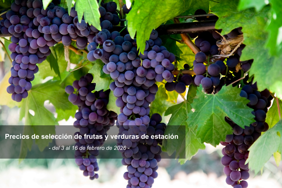 Foto de uvas. Precios de selección de frutas y verduras de estación del 3 al 16 de febrero de 2026