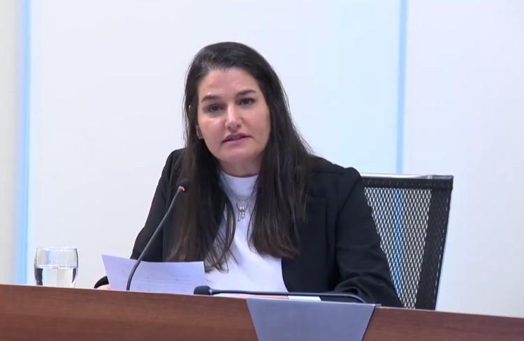 Coordinadora de Política Económica Marcela Bensión Presentación a inversores extranjeros