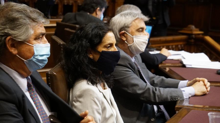 Di Lorenzo, Arbeleche, Irastorza Aprobación Presupuesto