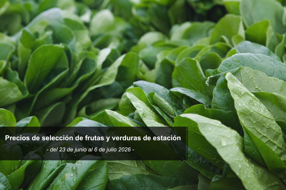 Espinacas