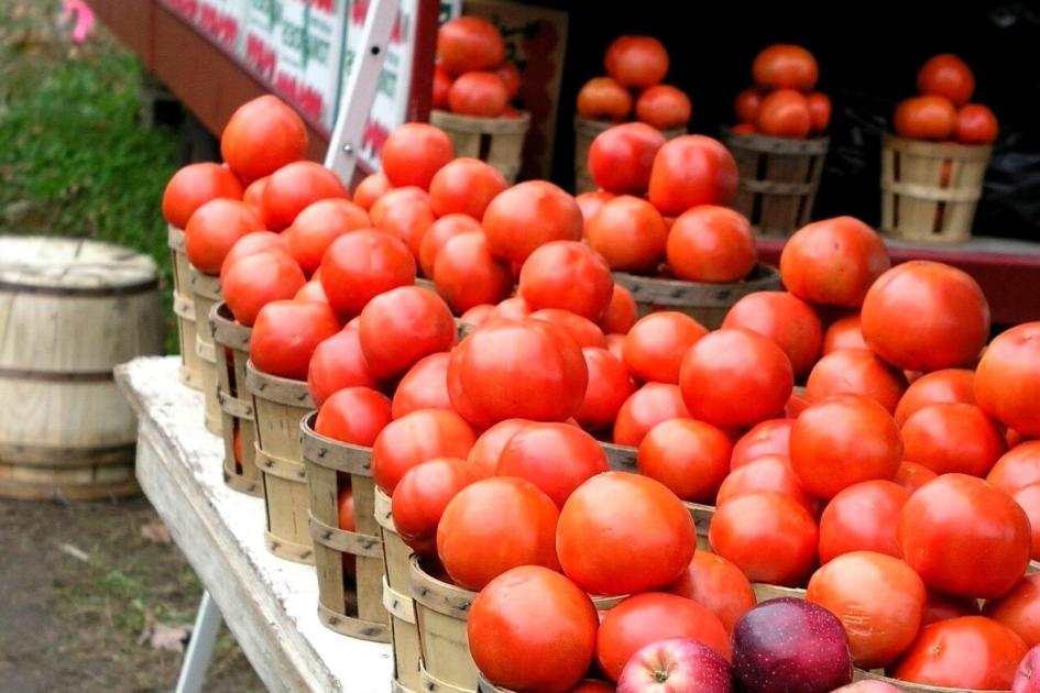 Cajones con tomates Cajones con tomates