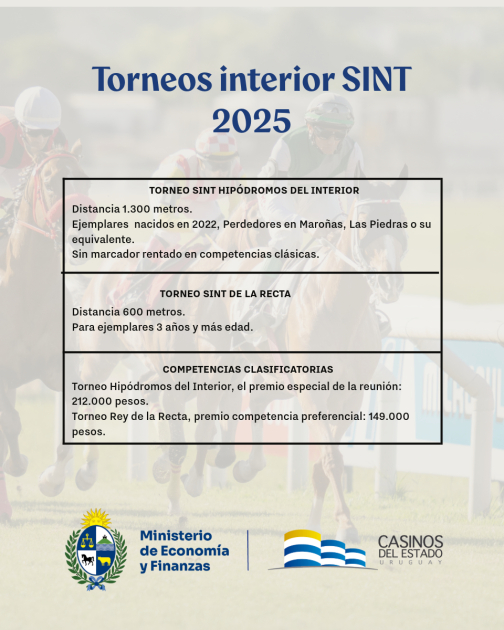 Torneos interior SINT 2025 Imagen con datos de los torneos (se detallan también en la noticia)