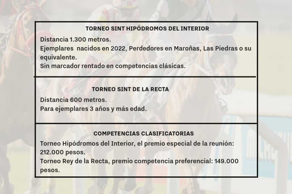 Torneos interior SINT 2025 Imagen con datos de los torneos (se detallan también en la noticia)