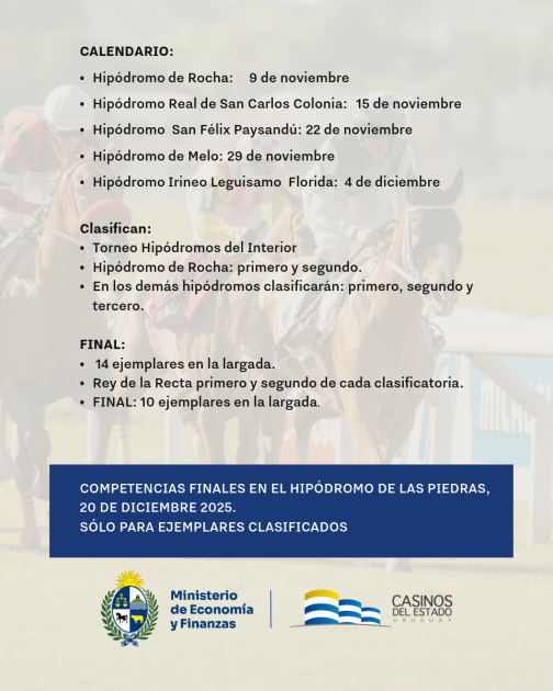 Torneos interior SINT 2025 Imagen con datos de los torneos (se detallan también en la noticia)
