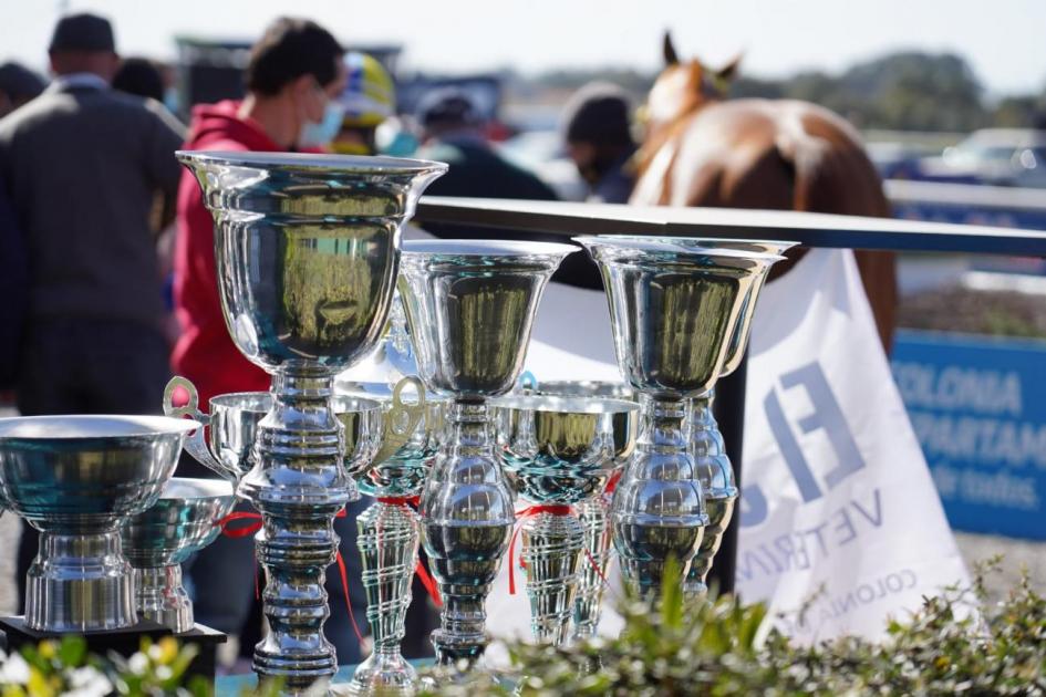 Trofeos Trofeos