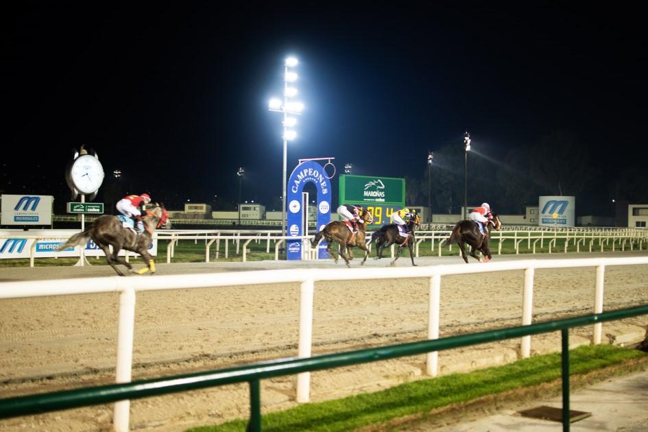 Jornada de “Campeones” Caballos en la carrera