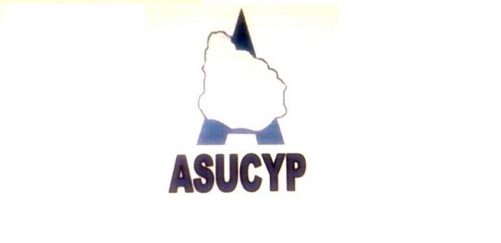 XXVII Seminario Nacional ASUCYP Logo de ASUCYP