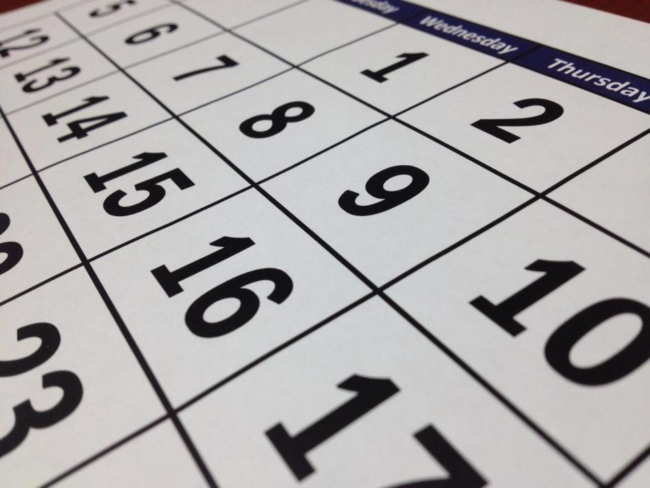 Sistema de Exportador Registrado calendario