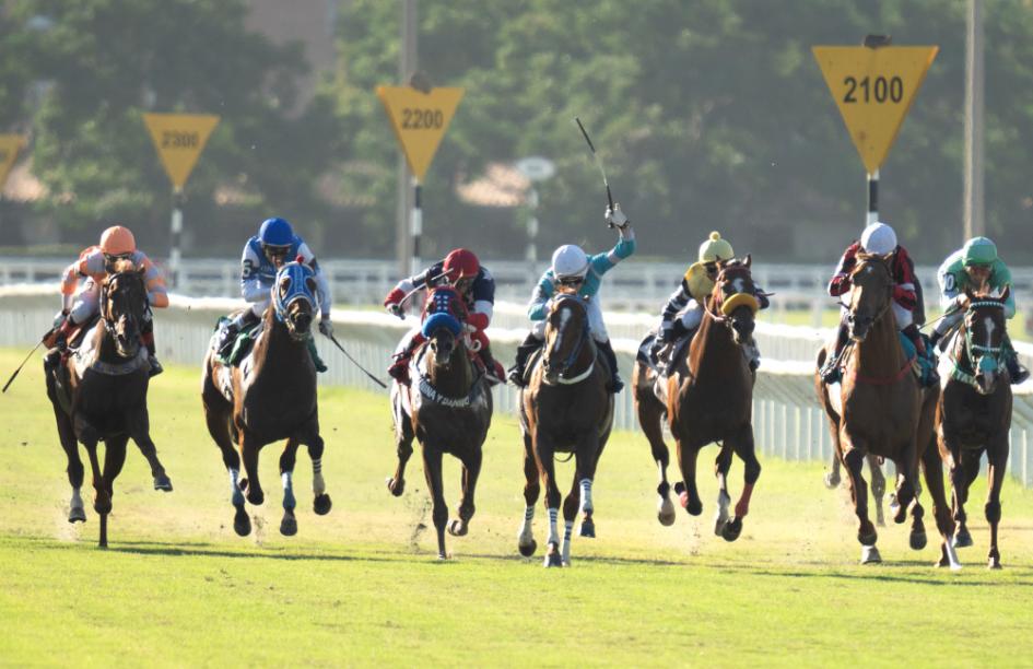 Gran Premio General Artigas Jornada en Maroñas