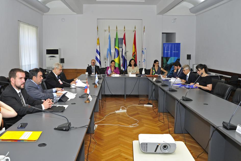 LXI Reunión Ordinaria del Consejo del Mercado Común del Mercosur LXI Reunión Ordinaria del Consejo del Mercado Común del Mercosur