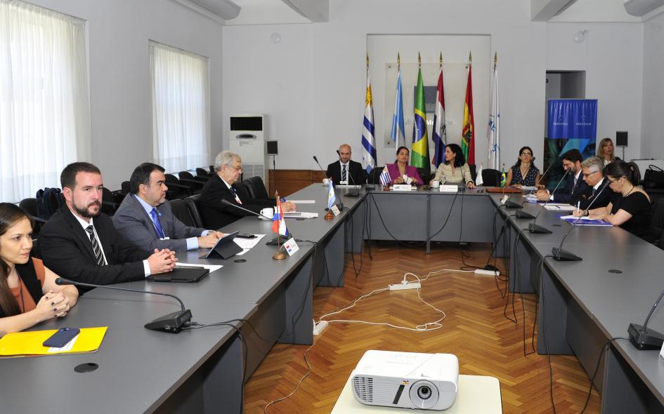 LXI Reunión Ordinaria del Consejo del Mercado Común del Mercosur LXI Reunión Ordinaria del Consejo del Mercado Común del Mercosur