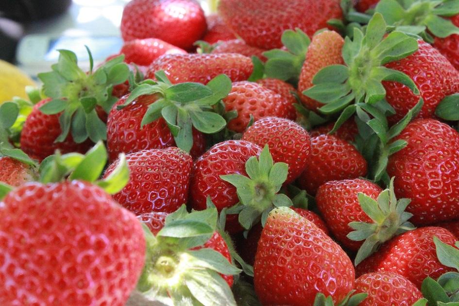 Precios de selección de frutas y verduras de estación del 1 al 14 de noviembre de 2022 Frutillas