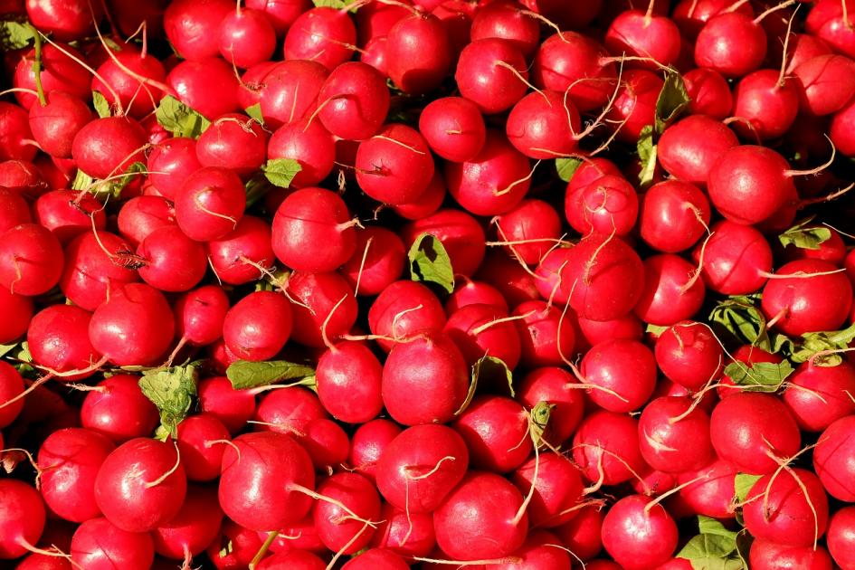 Tabla comparativa de precios de canasta básica de alimentos al 09 de setiembre vista de rabanitos