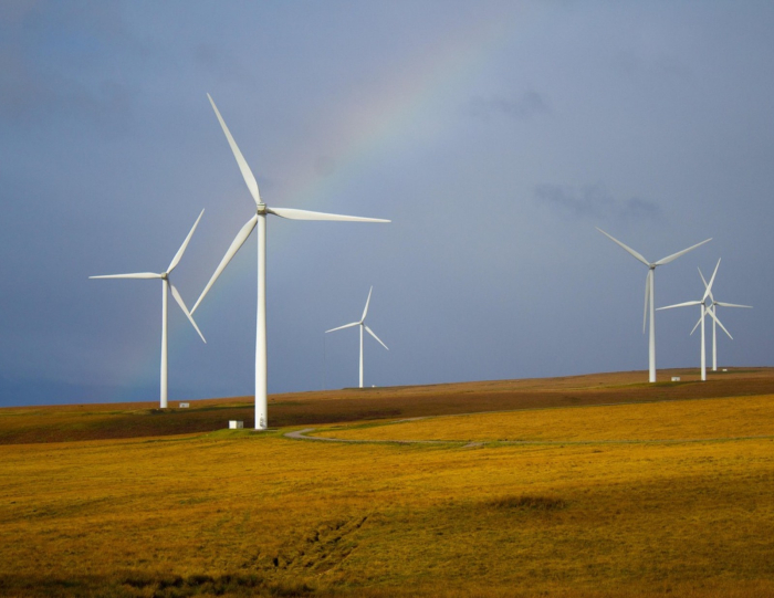 Molinos de viento