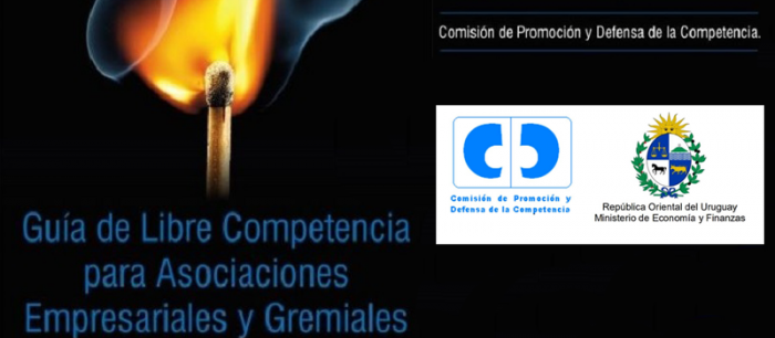 Guía "Sector Público y Libre Competencia" imagen de caratula de la guía