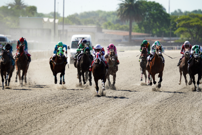 Carrera de caballos