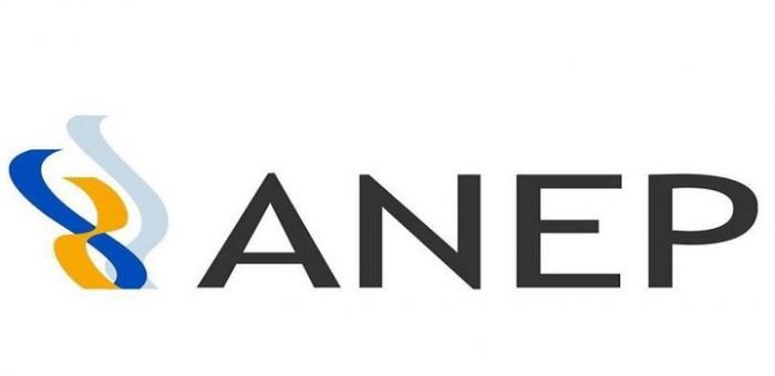 Logo ANEP
