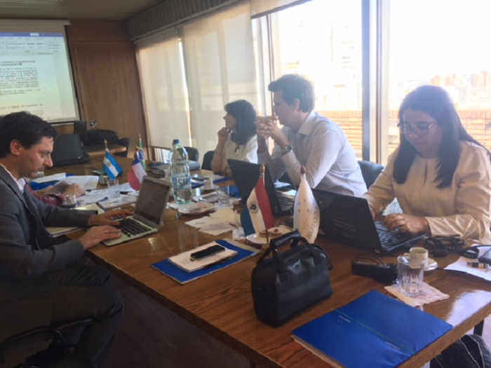 Reunión Comité Técnico 7 Miembros de los paises participantes