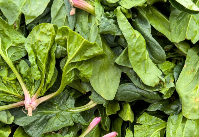 Precios de selección de frutas y verduras de estación del 29 de setiembre al 12 de octubre de 2026