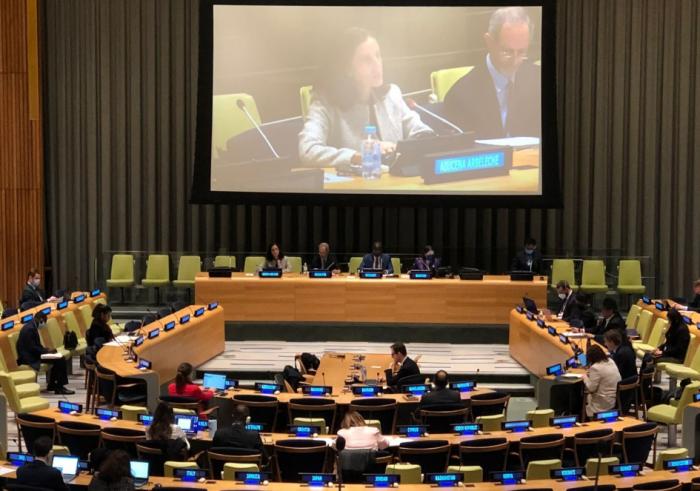 Ministra Azucena Arbeleche exponiendo en Naciones Unidas Naciones Unidas