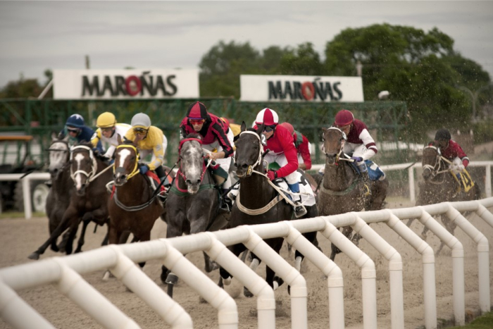Caballos durante una carrera