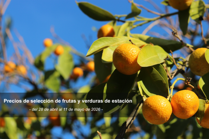 Precios de selección de frutas y verduras de estación del 28 de abril al 11 de mayo