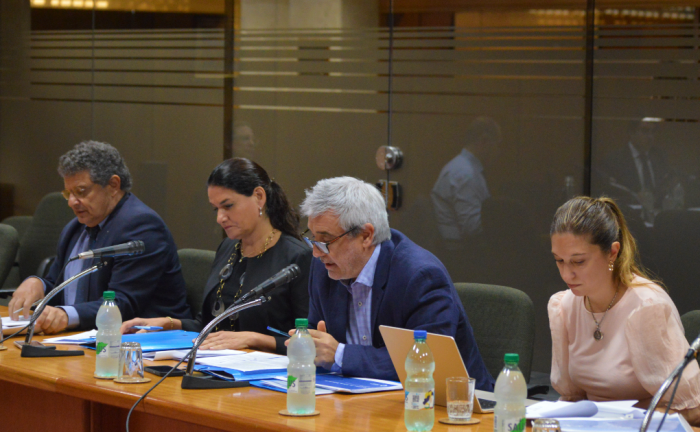 Fernando Blanco, Marcela Bensión, Alejandro Irastorza y Pía Biestro