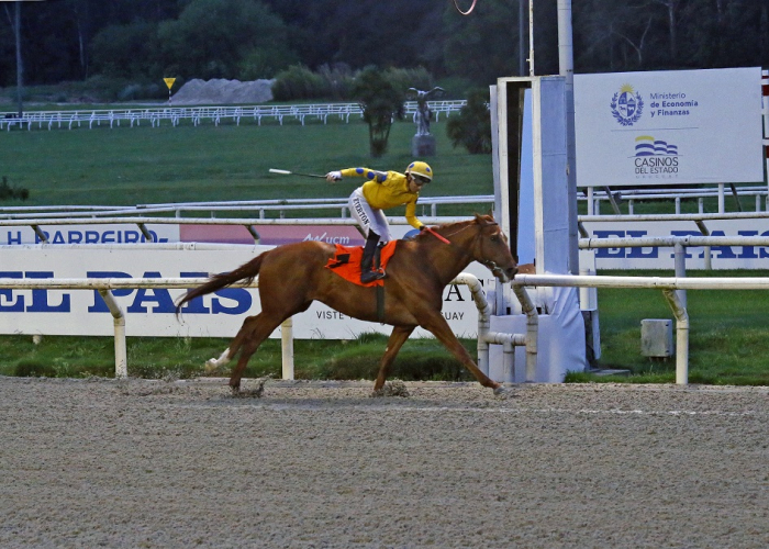 Jockey y caballo de carreras arribando a la meta