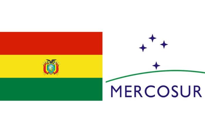 Banderas de Bolivia y MERCOSUR