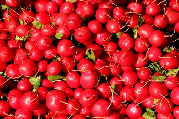 Tabla comparativa de precios de canasta básica de alimentos al 09 de setiembre vista de rabanitos