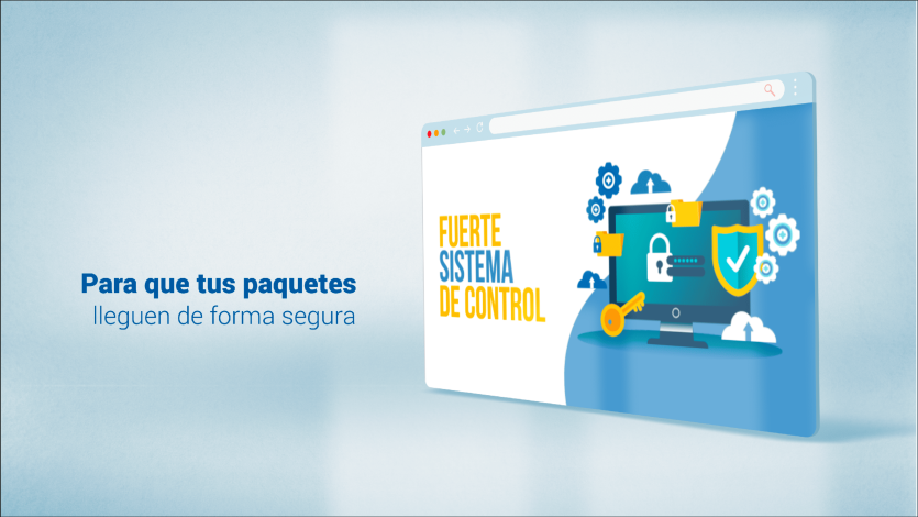 Controles para dar más seguridad a las compras web