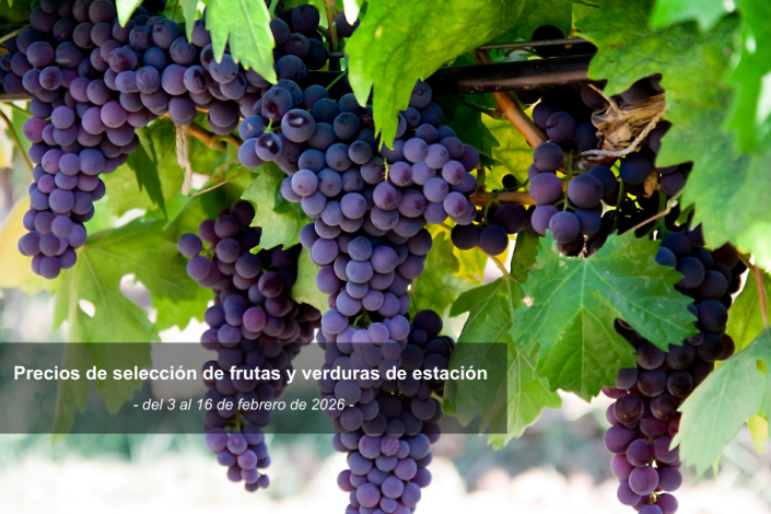 Foto de uvas. Precios de selección de frutas y verduras de estación del 3 al 16 de febrero de 2026