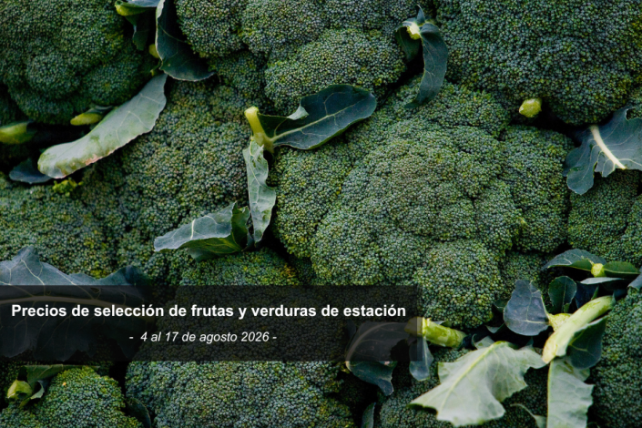 Brocolis