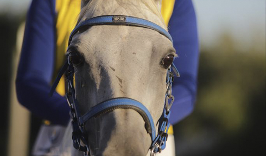 Persona montando a caballo