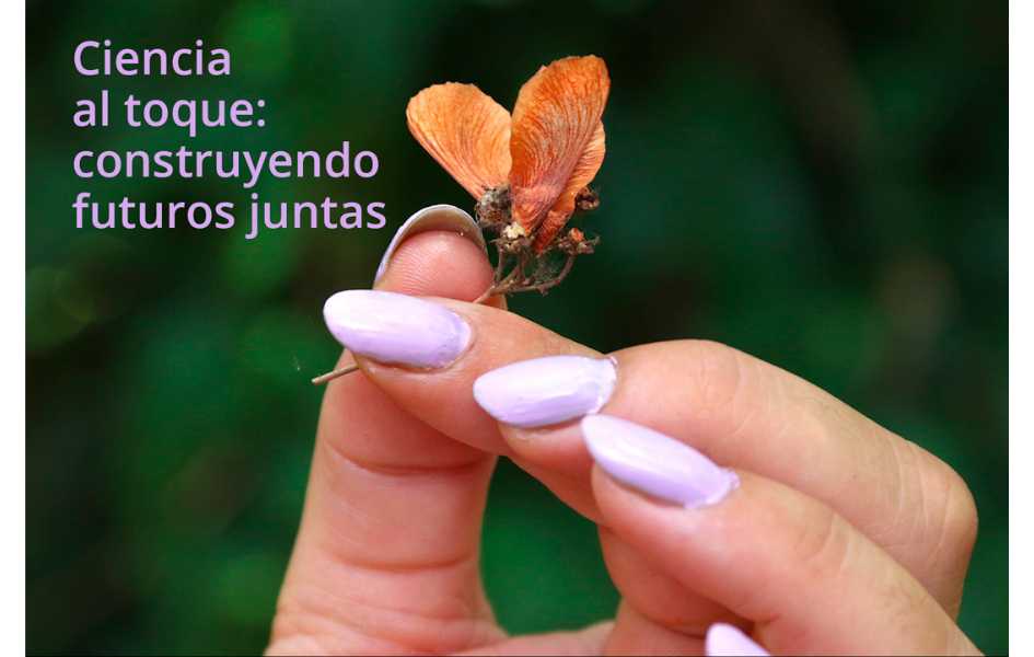 Mano sosteniendo una mariposa.