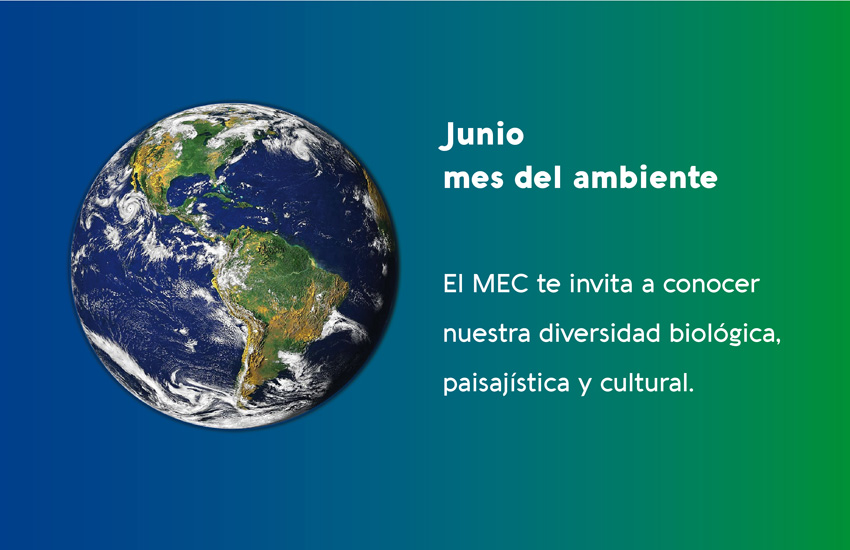 Mes del ambiente Medio ambiente