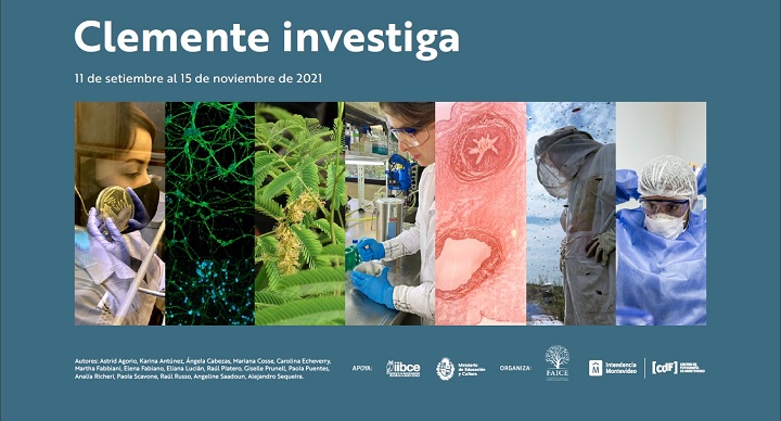 Clemente investiga, fotogalería. Portada de la fotogalería, 7 imágenes de las investigaciones