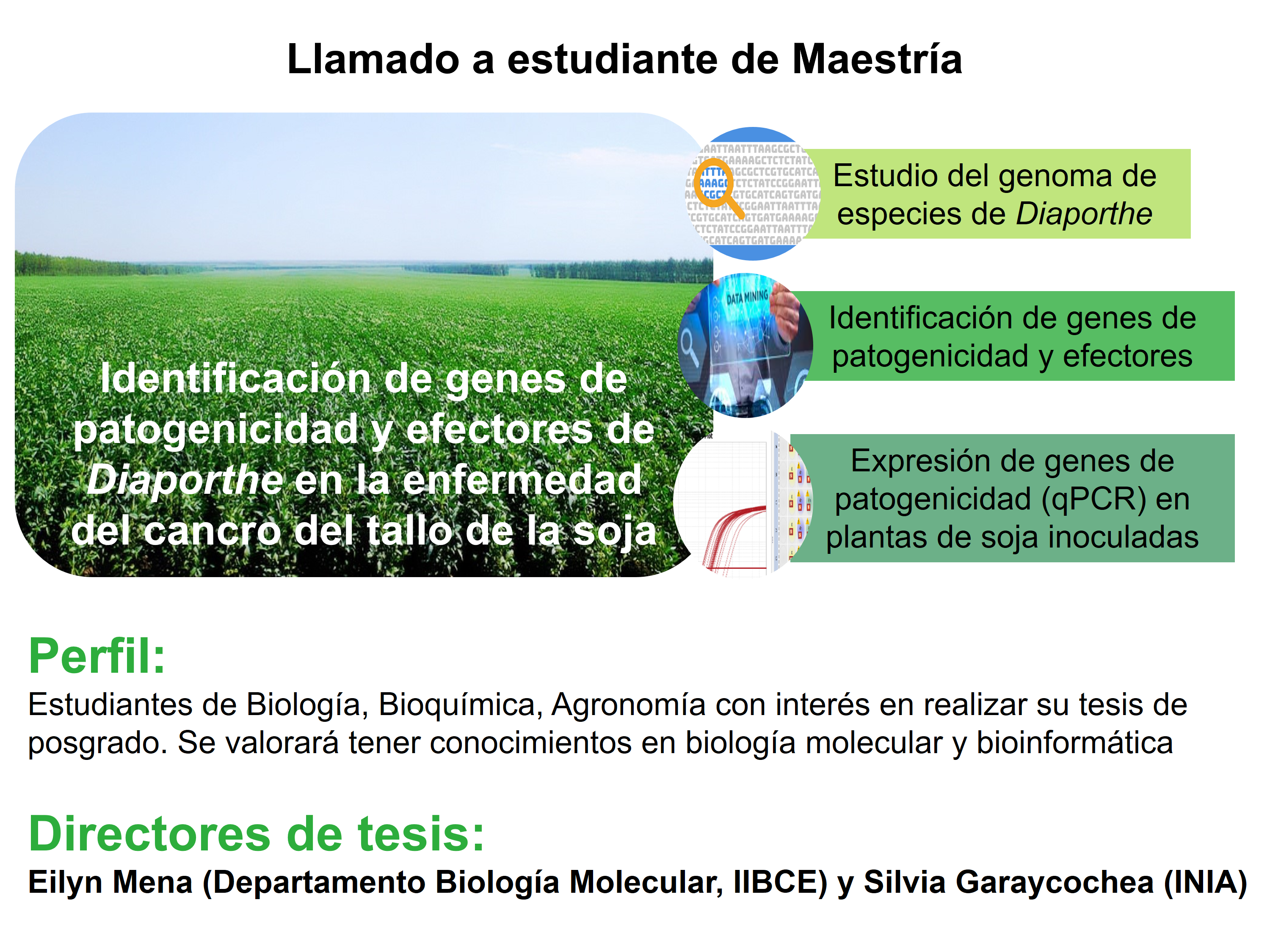 convocatoria