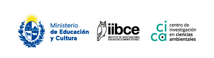 CICA - IIBCE logo