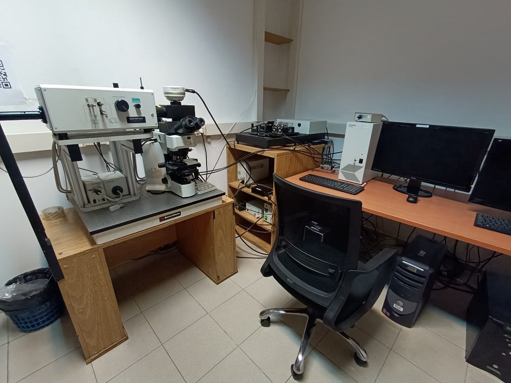 Confocal FV300