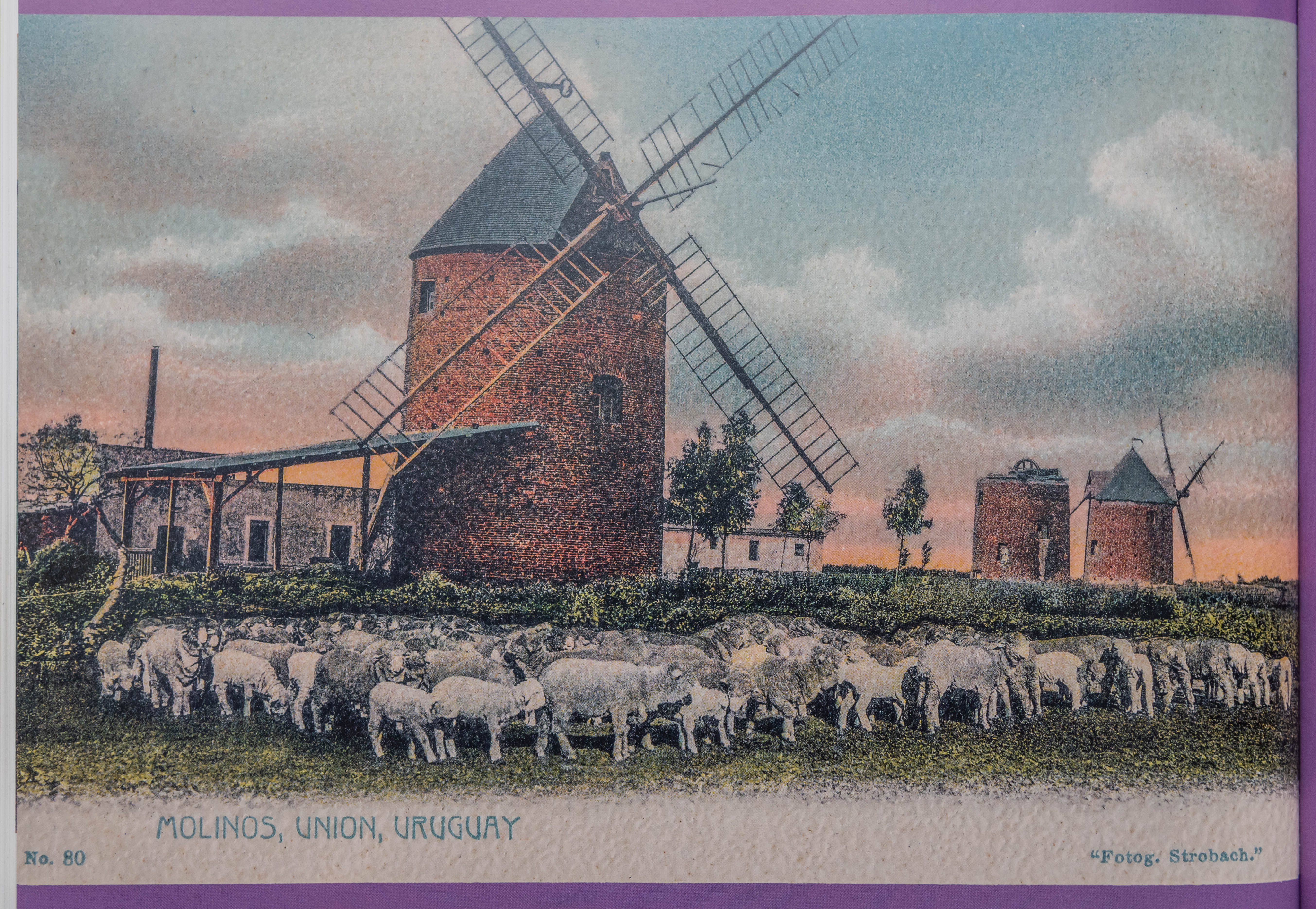 Molinos de Villa Restauración (el del medio es el del Galgo