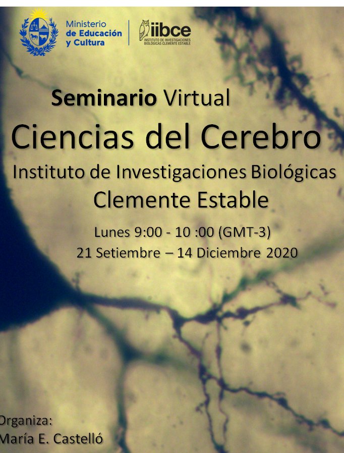 Seminario virtual ciencias del cerebro