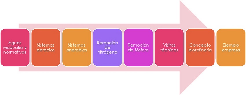 Esquema del curso