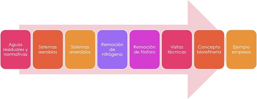 Esquema del curso