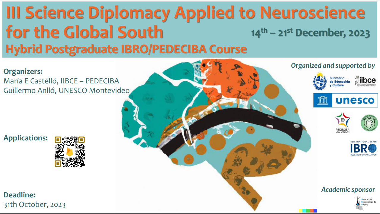 III Science Diplomacy Applied to Neuroscience