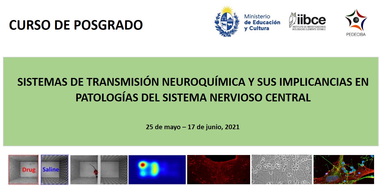 Curso de posgrado Sistemas de transmisión neuroquímica y sus implicancias en patologías del sistema nervioso central
