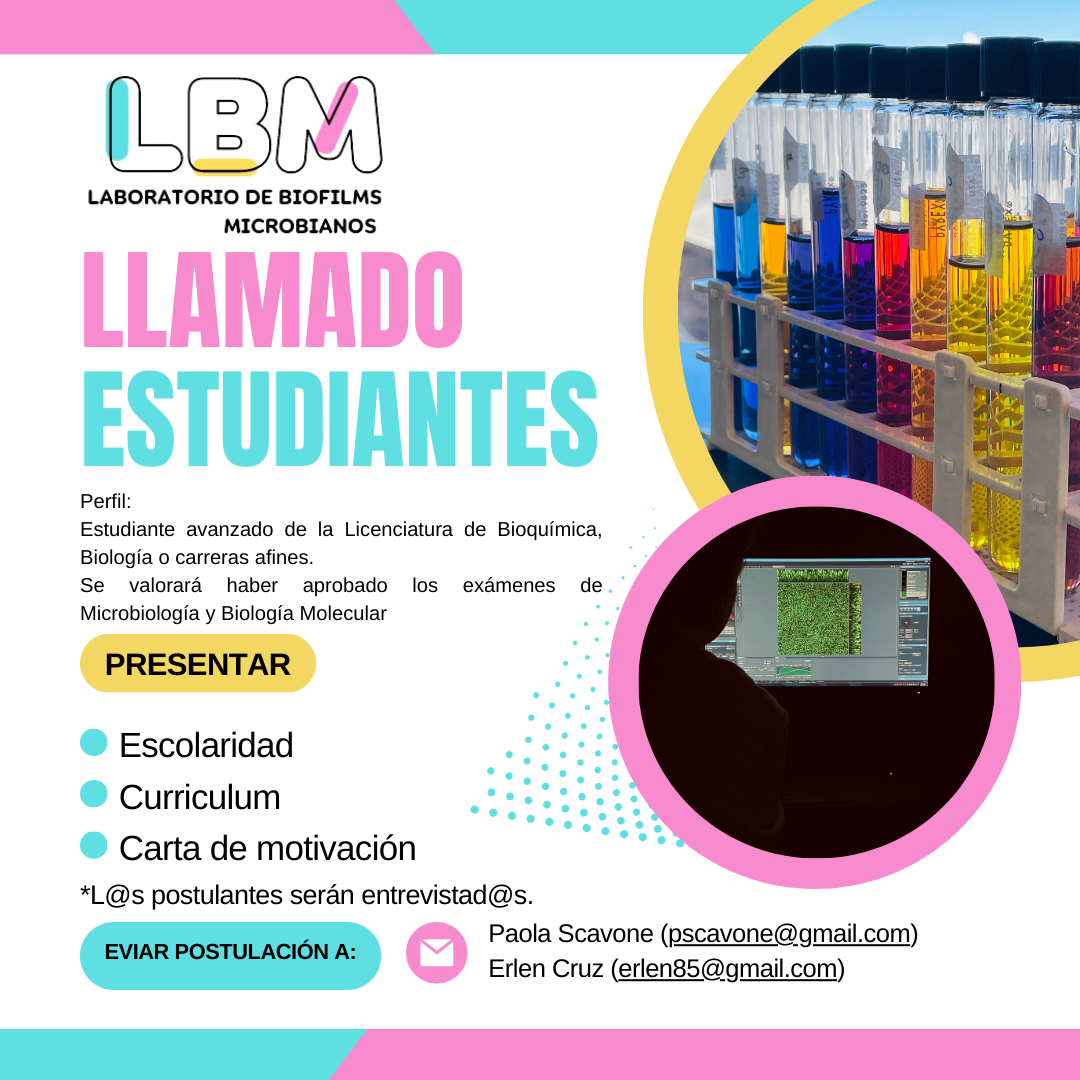 llamado