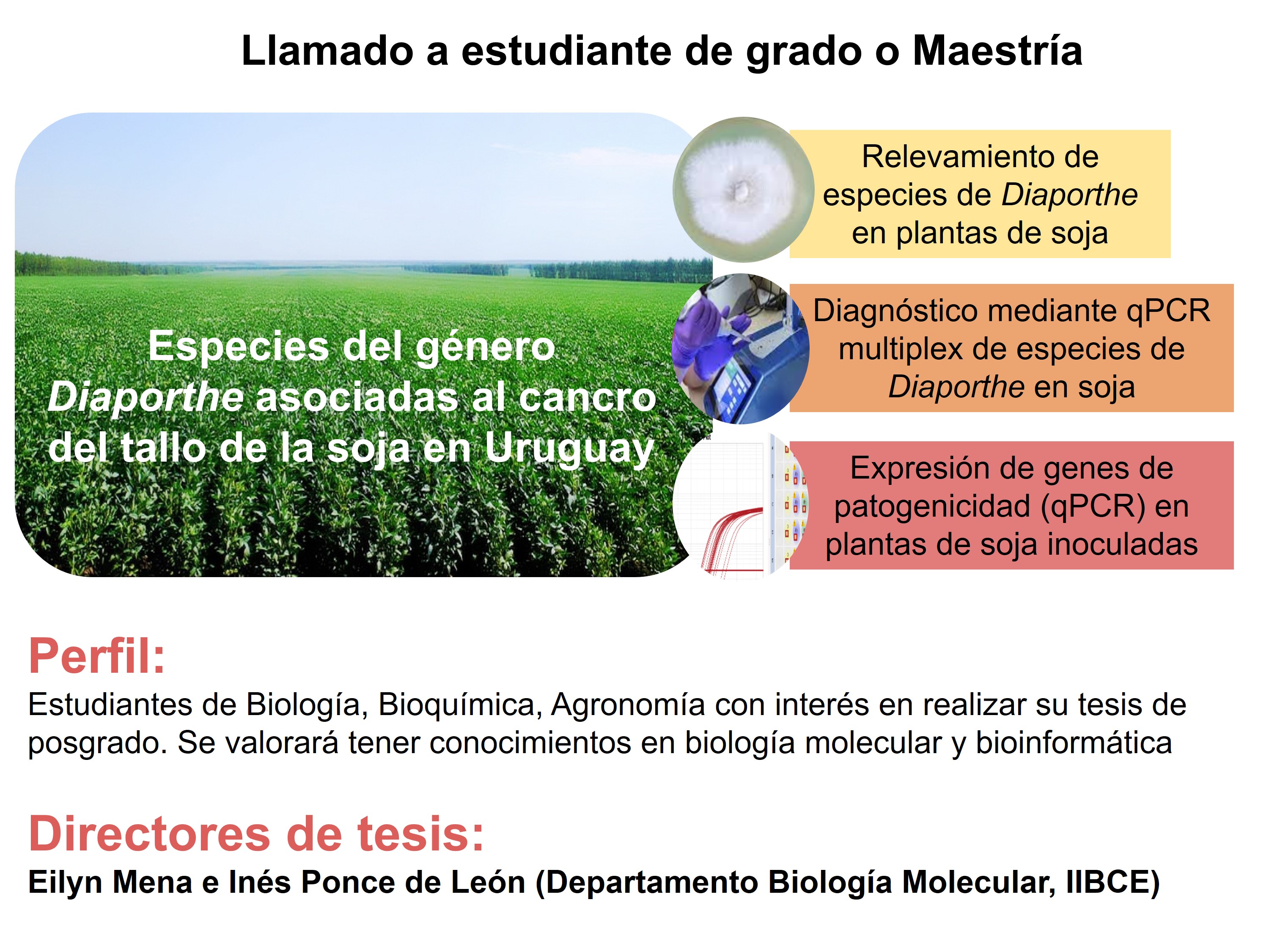 Llamado Dpto biología Molecular 1 2024