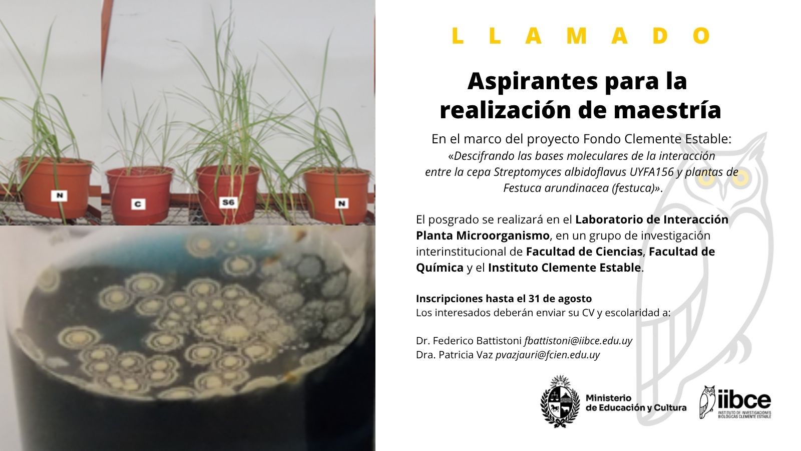 Llamado Aspirantes para la realización de maestría